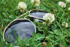 sunglasses lie on a green clover