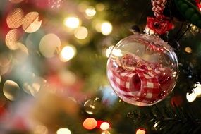 beautiful Christmas ball, bokeh background
