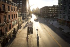 Bright street with the lights and shadows