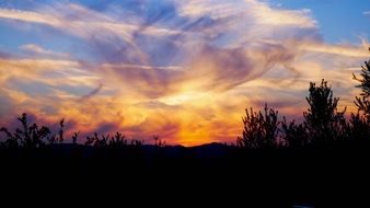 romantic colorful sky over the forest