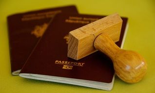 stamp for customs lies on the passport