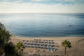 panoramic view of the beach with palm trees