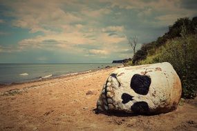 skull on a sandy beach close-up
