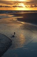 sunset siesta key on Florida beach