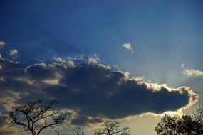 Sunbeam Clouds Evening