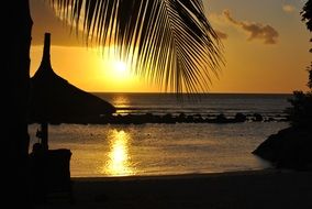 silhouette of a straw umbrella on the beach during sunset