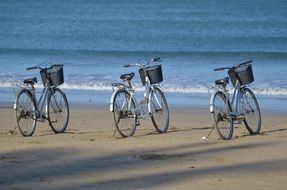 Bicycle Rental on Beach