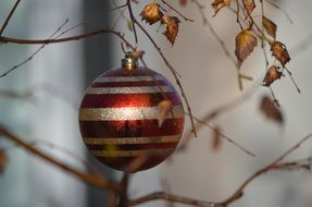 Picture of Christmas Decor