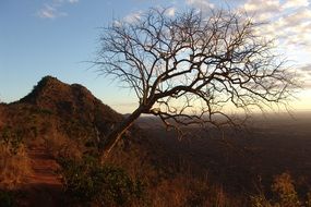 morning in kenya