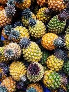 Italy Pineapple