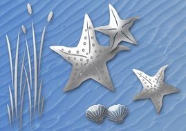 starfish as a graphic image