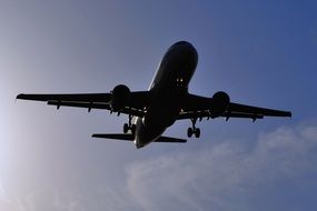 plane silhouette in the sky