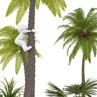 figure of a man crawling on a palm tree