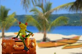 holiday luggage for a frog