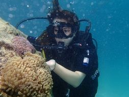 diving among corals in malaysia