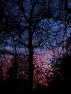reddish evening sky