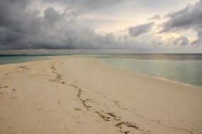 gray clouds over a sandy beach