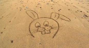 Rabbit drawing on sand