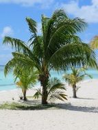 Indian Ocean beach on Maldives in summertime