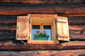 Wooden window shutters