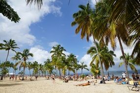 Beach Levantado Island