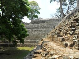 stone ruins amidst nature in honduras