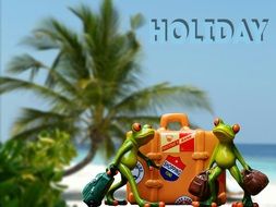 frogs ready for holidays