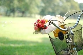 Flowers on the bike