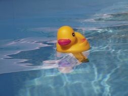 Yellow bath duck