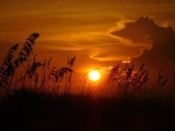 superb sunset on the beach