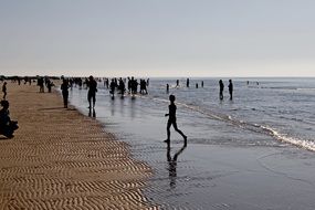 Beach Swim Sea