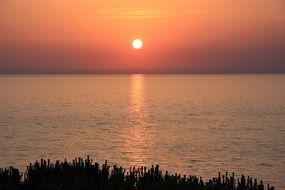 skyline at sunset in summer