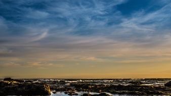 stony coast of andalusia