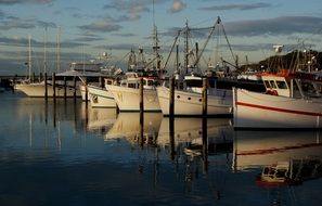 white boats in water in the port at dusk