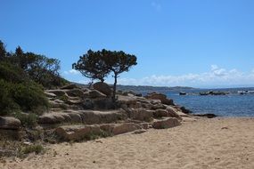 nice Sea Mediterranean