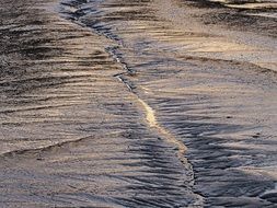 Landscape of estuary