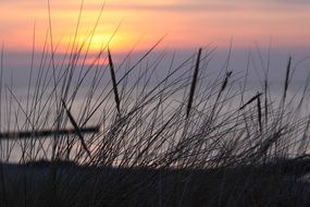 Dawn Beach