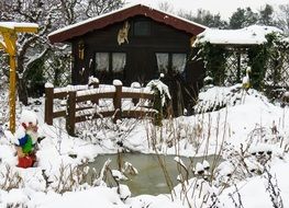 Wintry Dwarf Pond
