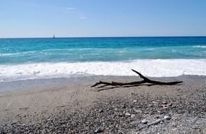 charming Sea Wave