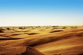 desert dunes in the canary islands