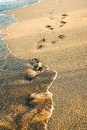 Sand beach and Great Water