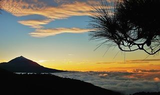 landscape of nice-looking Evening Sunset