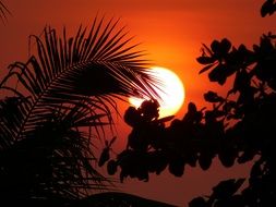 Vietnam red Sunset