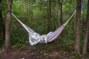 cozy hammock in the forest