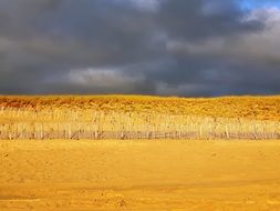 Landscape of the Beach on atlantic Coast