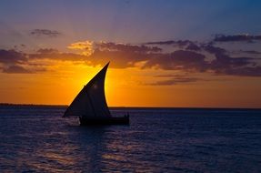 sailing boat against a golden sky off the coast of Zanzibar