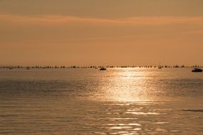 golden sunset on lake constance