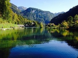 green trees and bushes near a lake in bavaria