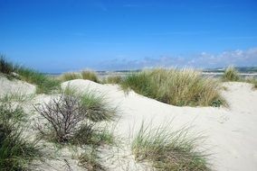 Landscape of the beach in Pas De Calais