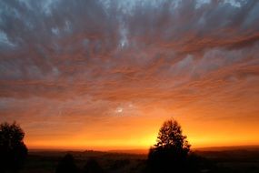 golden sunset lights